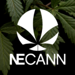 NECANN Boston 2026 — Leitmesse der Cannabisindustrie Neuenglands