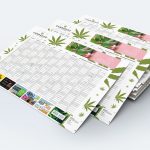 cannadoo_mockup3